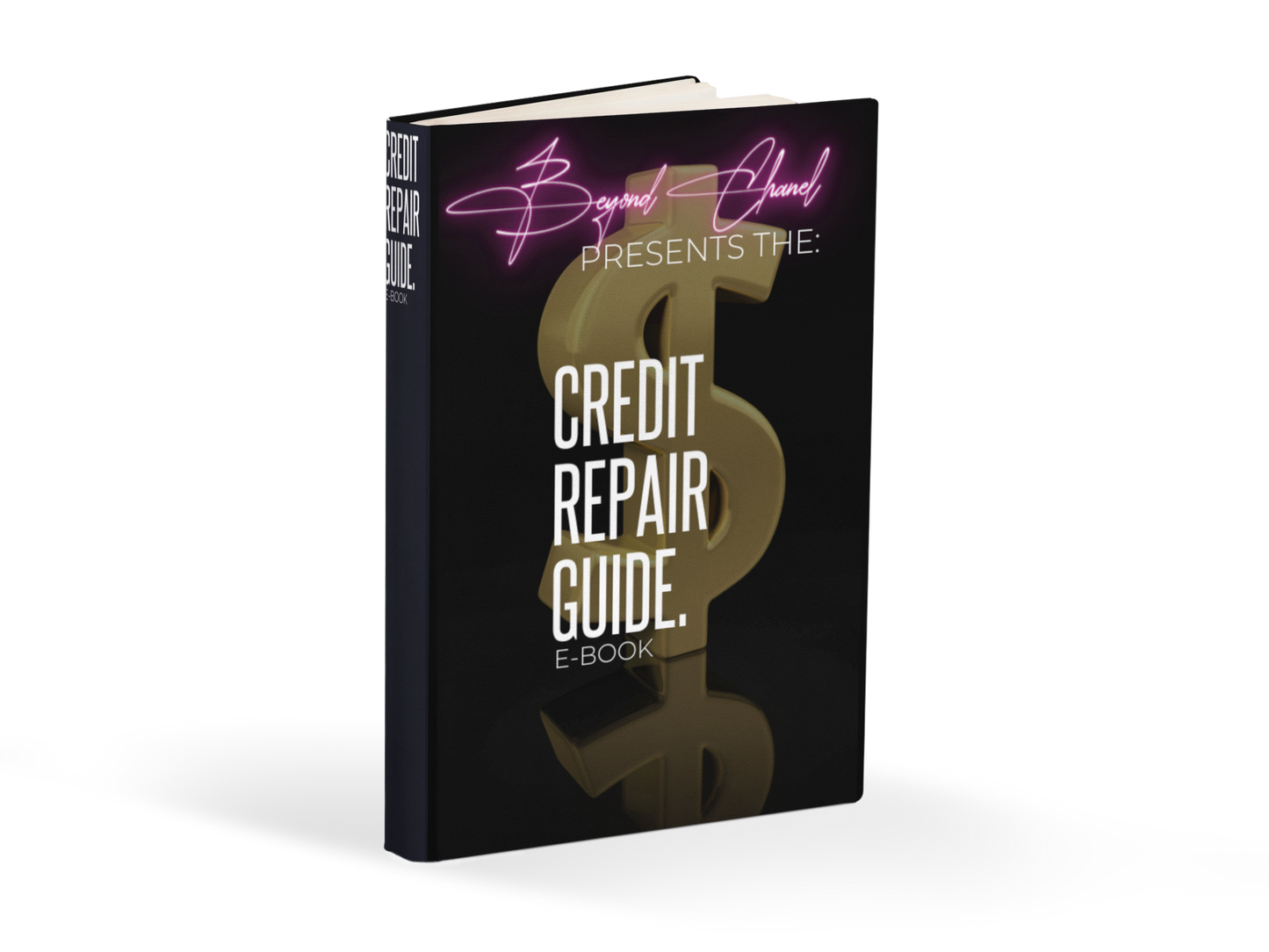 Credit Repair Guide